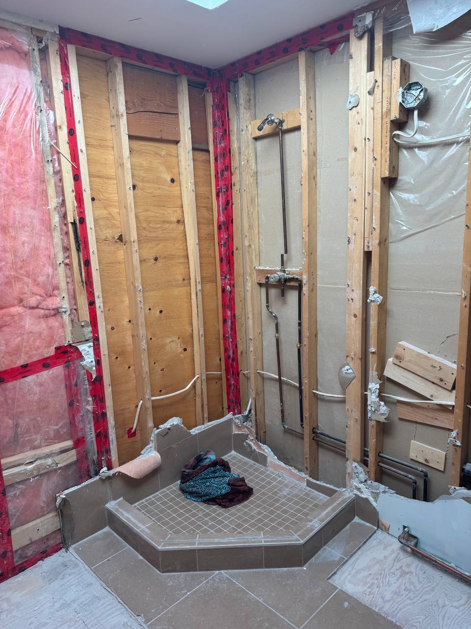 Bathroom demolition